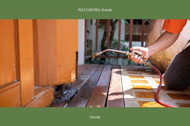 PEST CONTROL Oneida